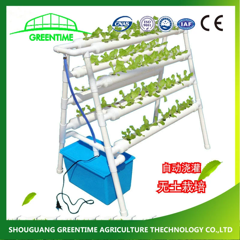 China Supplier Agriculture Vertical Hydroponics System Vertical Growing System Indoor for Vegetable/Flower/Fruit