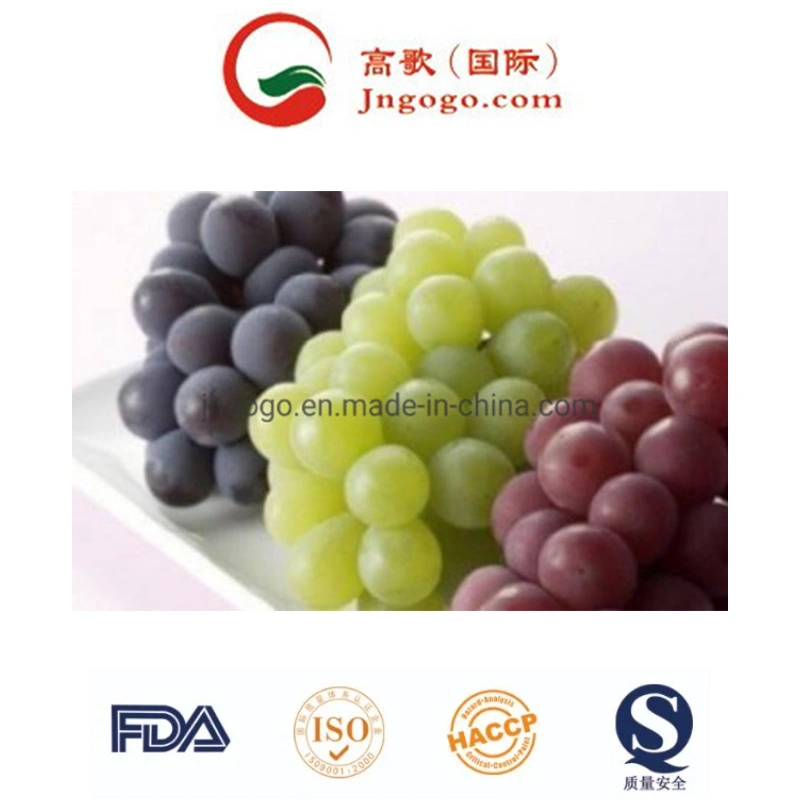 New Crop High quality/High cost performance Fresh Green Grape for Exporting