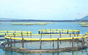 Le PEHD pièges de l'Aquaculture Cage de poissons filet de pêche de la cage de pisciculture