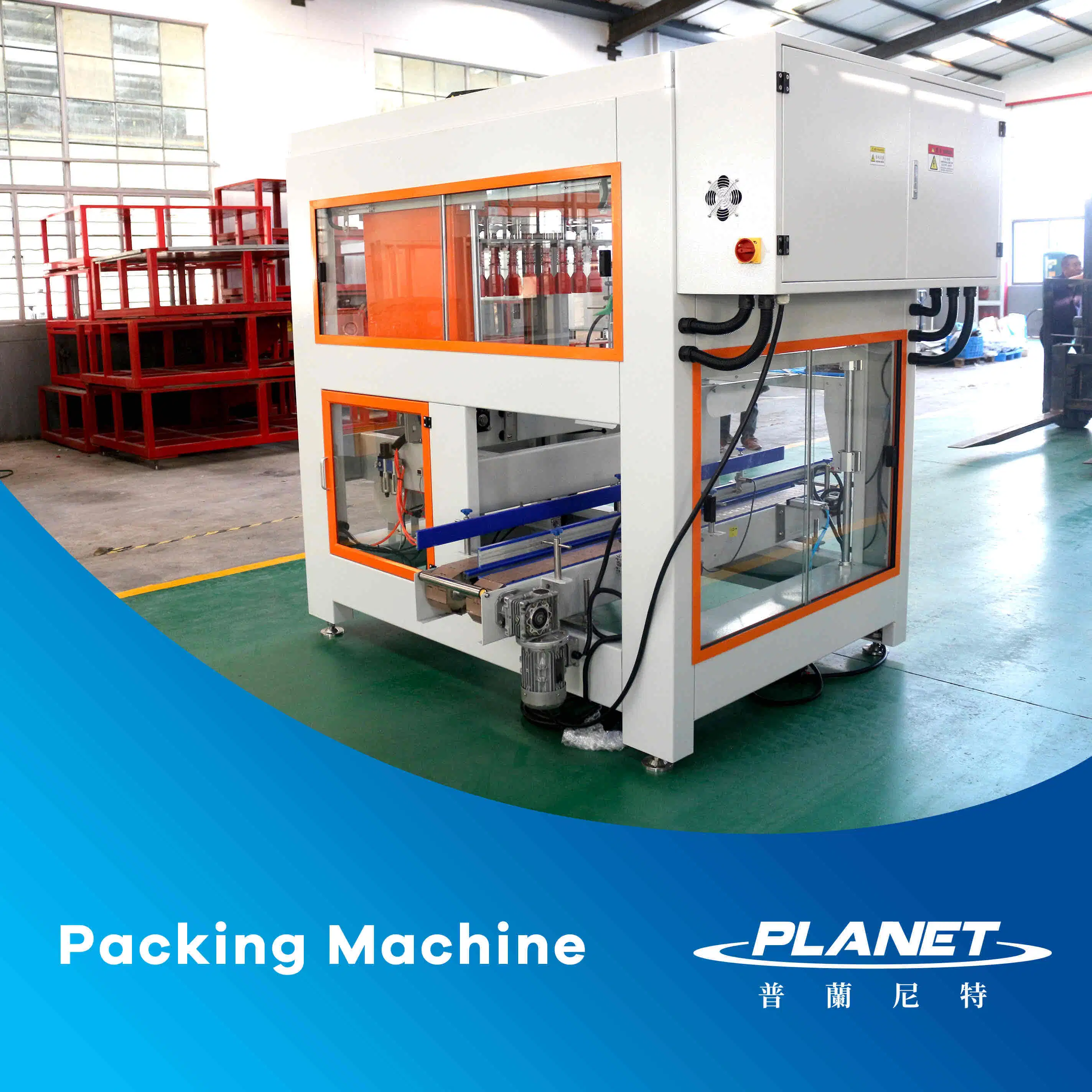 Automatic Place Bottle Grab Type Auto Carton Box Case Packing Machine