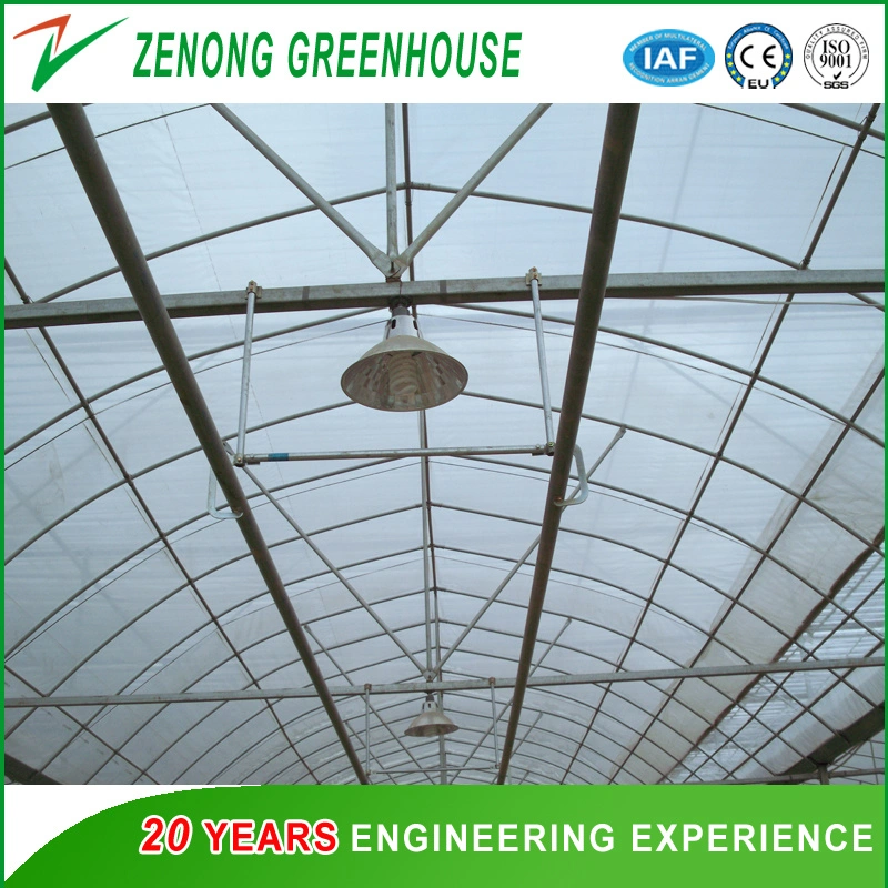 Factory Price Steel Structure Film Greenhouse Materials/Equipment/Cooling Pad/Fan/Irrigation etc.