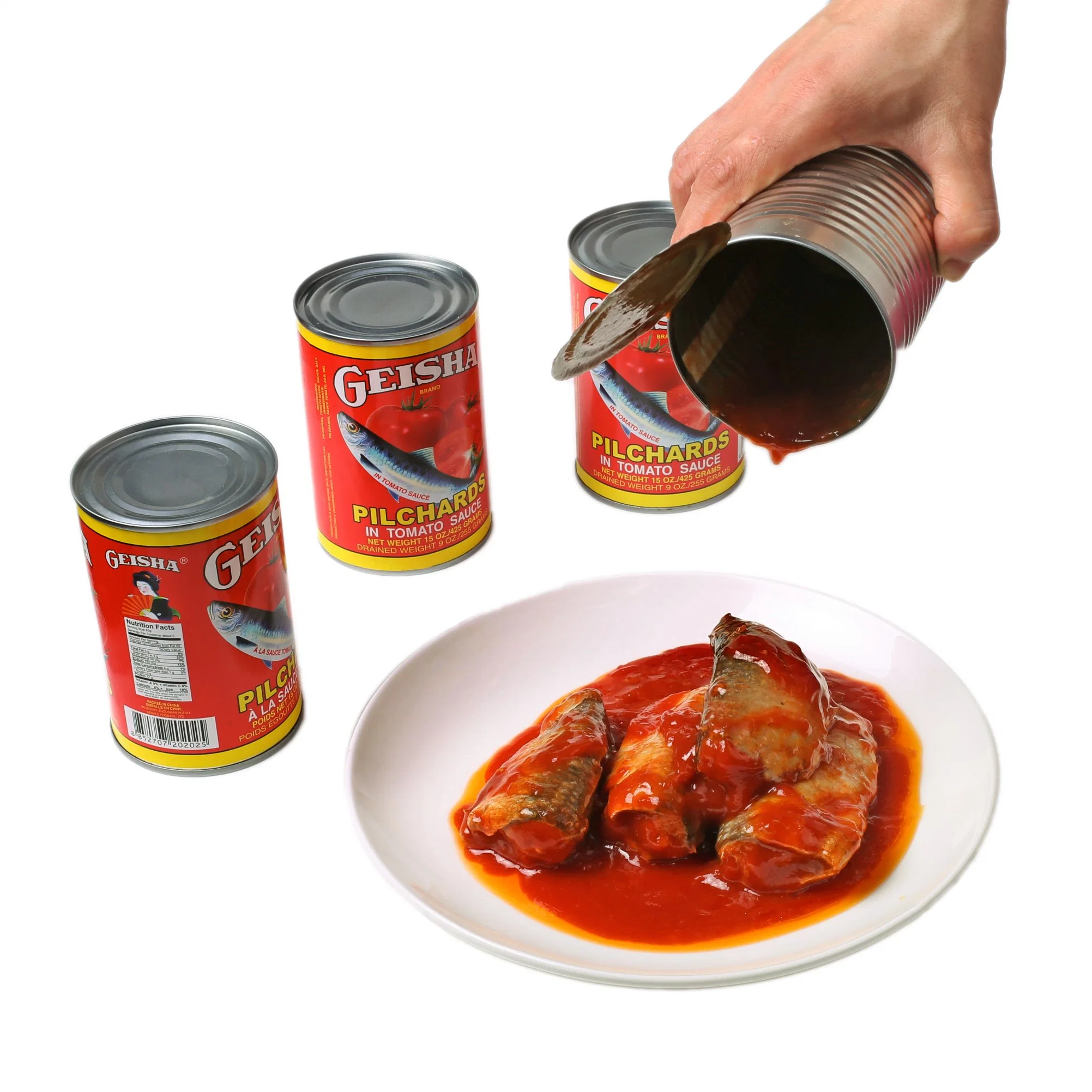 Good Quality Manufacture Horse Mackerel in Tomato Sauce