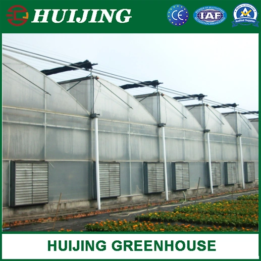 Agricultural Multi Span Po/PE Film Vegetable Greenhouse with Cooling System