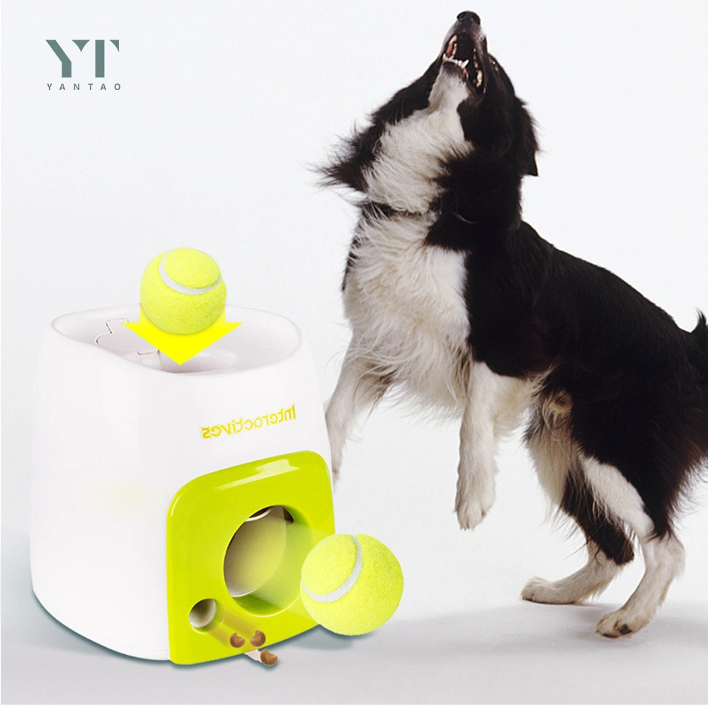 Großhandel/Lieferant Amazon Hot Selling Automatische Tennis Ball Launcher Hund Spielzeug Interaktive Hundekugel Werfer Haustier Spielzeug Verteilung Belohnung Maschine