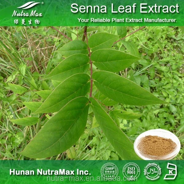 Herbal 4%~20% Sennosides a+B Powder Senna Leaf Extract with Cathartic Effect