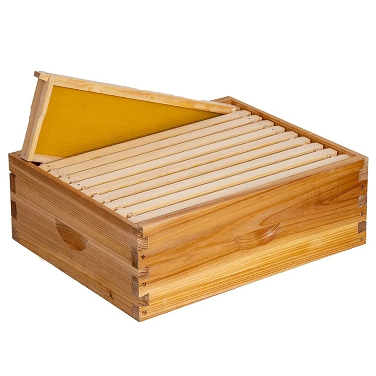 Bee Hive Box OEM/ODM 8 10 Frame Beehive Box