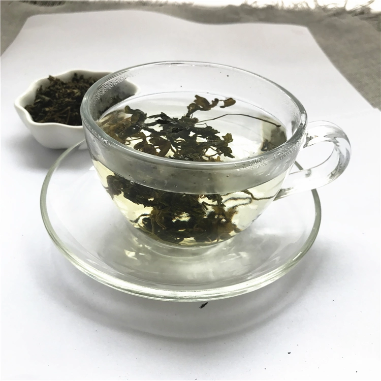 Jiaogulan Herb Organic Dried Gynostemma Pentaphyllum Leaf for Tea