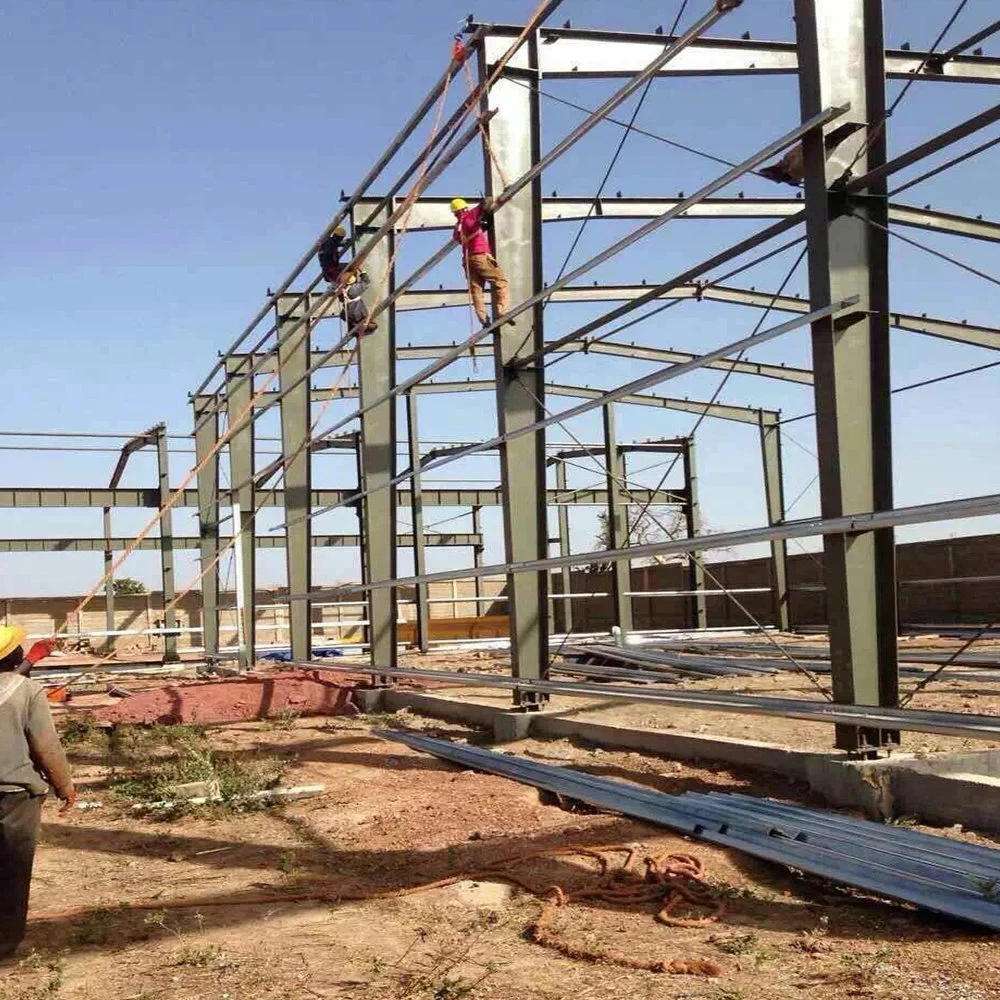 La estructura de acero de supermercado para personalizar