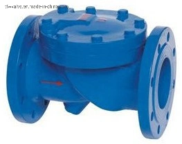 BS5163 Cast Bolted /Swing Chek Valve