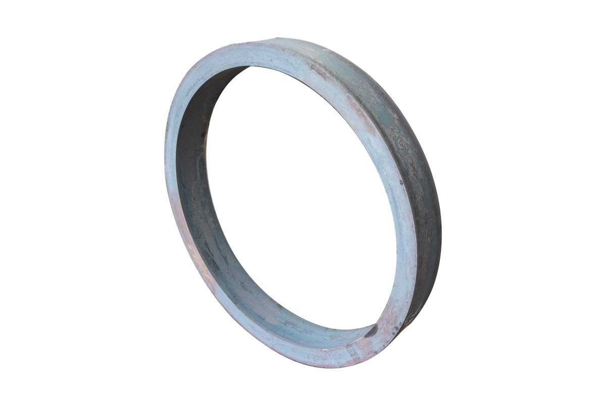 Stainless Steel Ring, Flange, Ring Forging Blank and Shipbuilding Industries