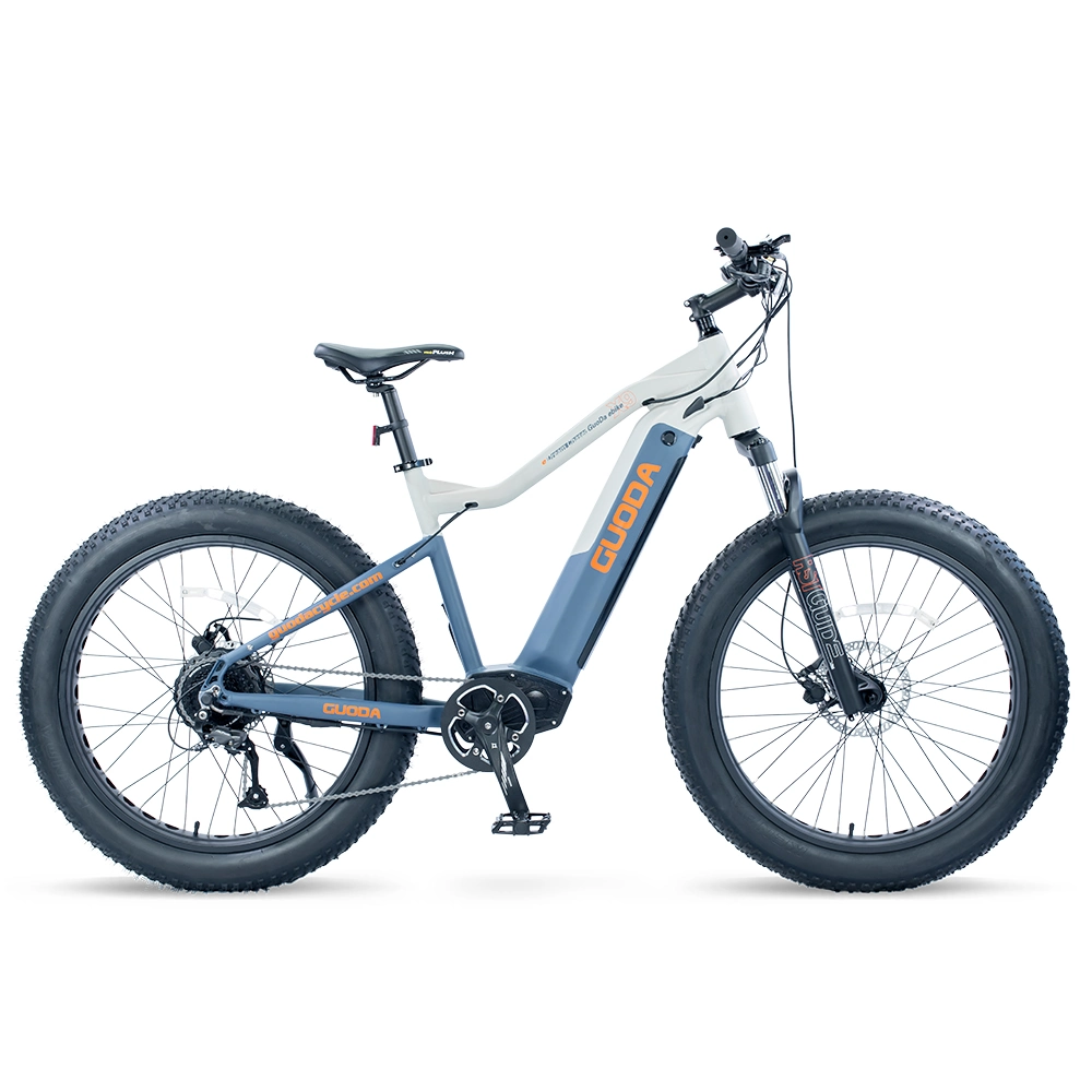 High Power E-Bike with Lithium Battery Mountain Electric Bicycle