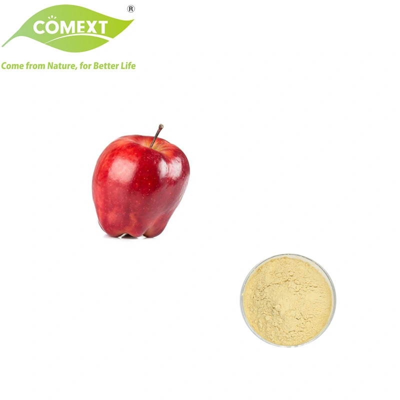 Comext Halal Kشر 100% جودة عالية الجودة أفضل سعر مجاني عيّنات Apple Fruit Juice Powder