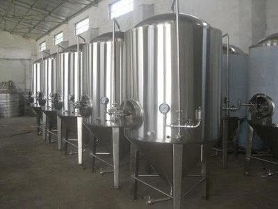 Hotel Restaurant Fermenting Brewery Craft 50L Household Micro Small Beer Equipment