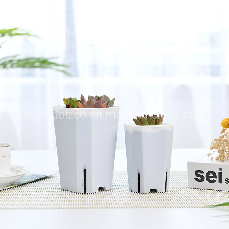 9*12.5cm Small Clear Transparent Tall Square Plastic Succulent Cactus Flower Nursery Pot