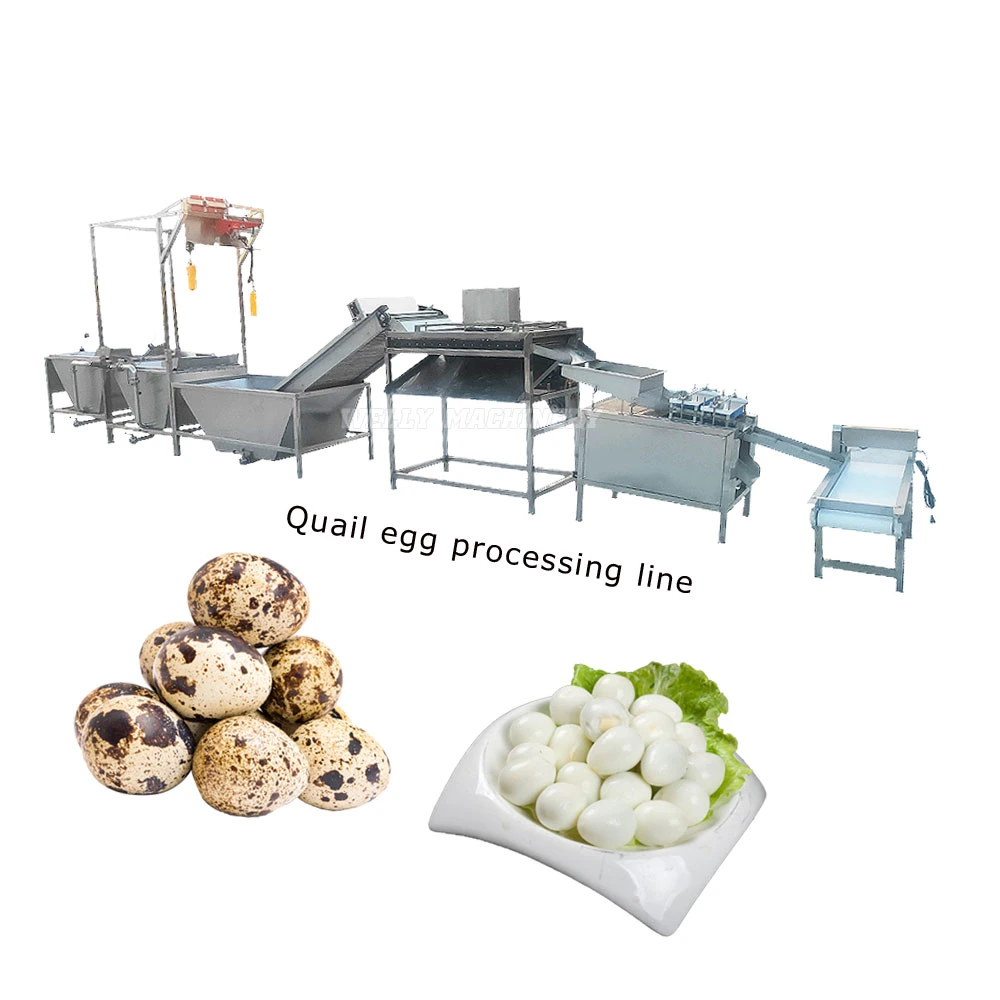 High Quality Quail Egg Peeling Line Quail Egg Shelling Line Quail Egg Boiling Production Line