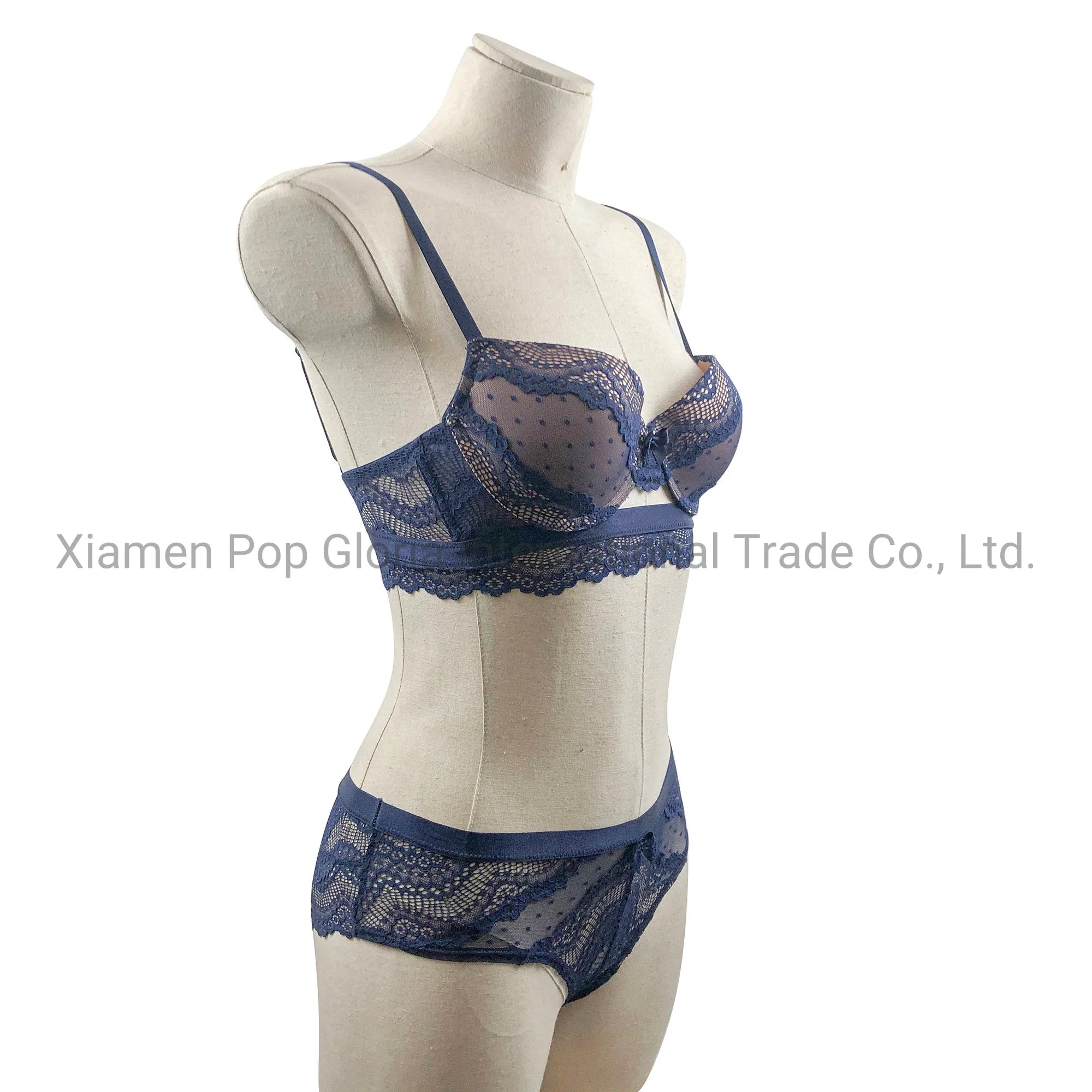 Ladies Sexy Padded Underwear Fashion Design and Cutting Delicate Lace Mesh