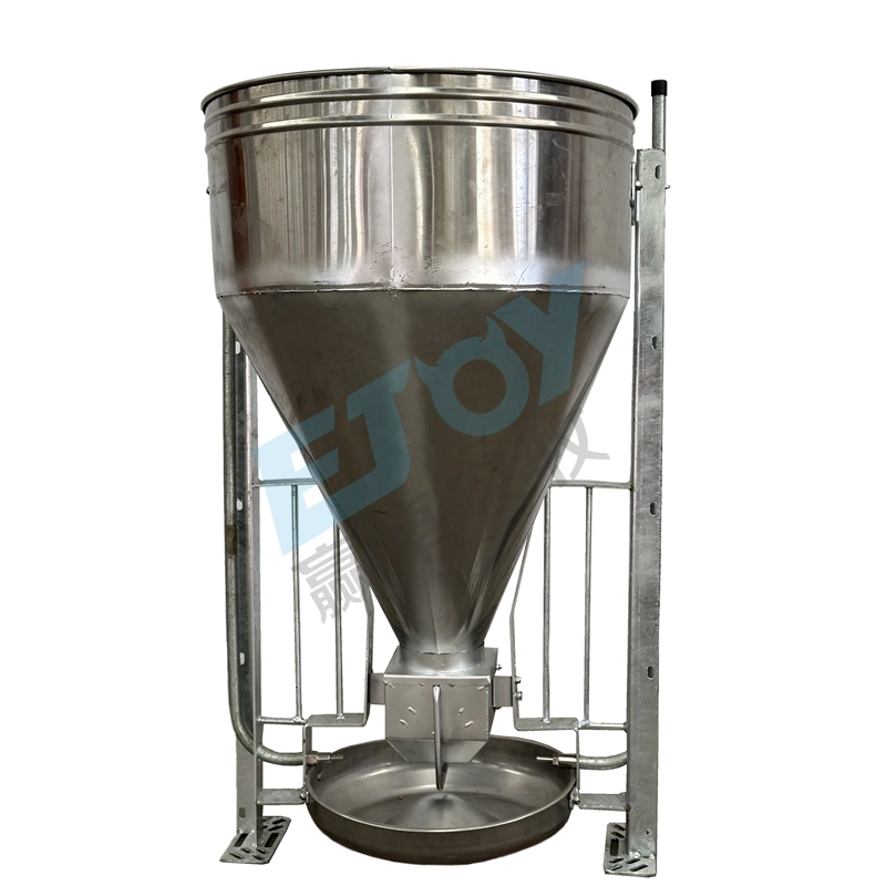 Pig Farming Equipment Factory Direct Sales of Durable Automatic Pig Feeder