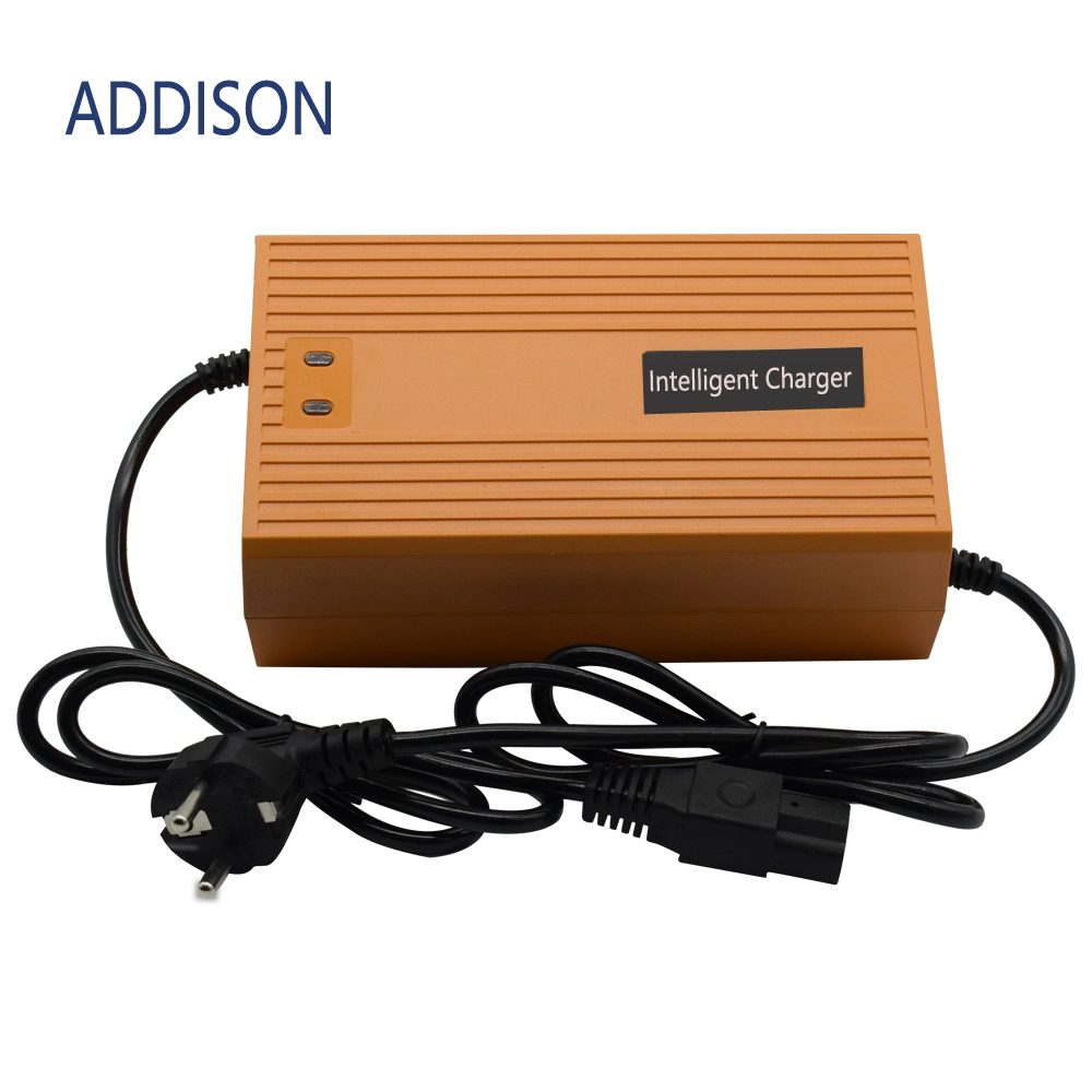 48V Electric Car/E-Bicycles/E-Scooters/Household-Appliances/Golf Vehicle Battery Charger