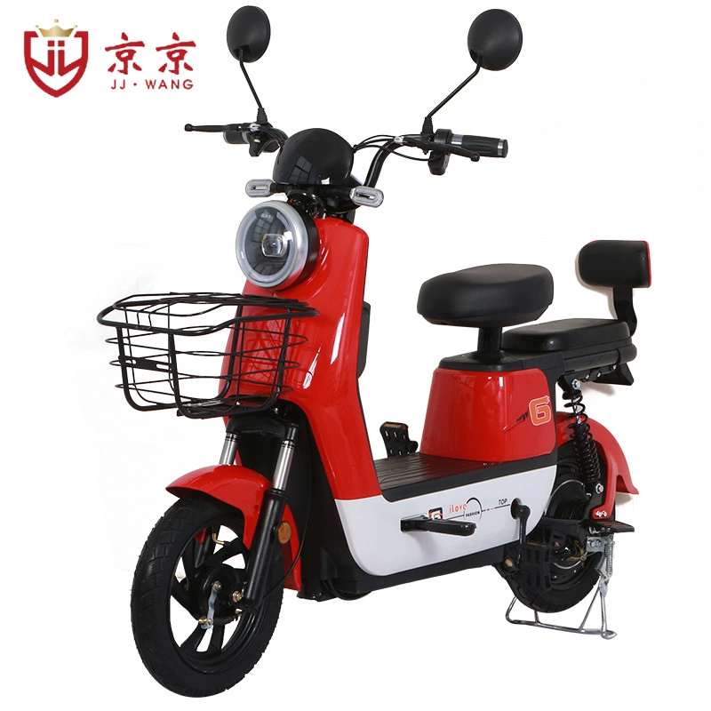 Electric Quad E Motorcycle Electric Scooter Dirt Ebike 350W Electric Bike Fiets