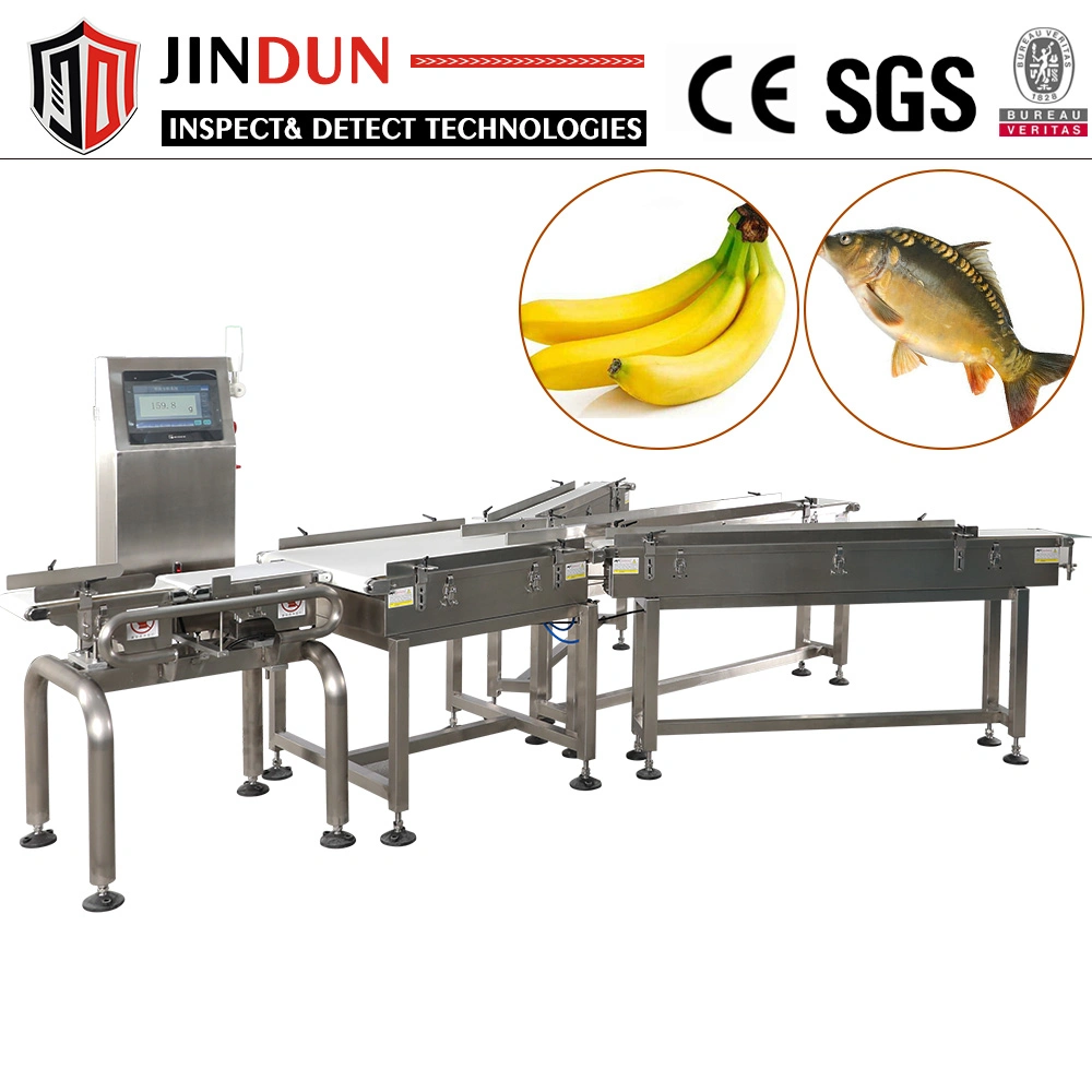 Dual Lines Marine Fish/ Oyster/Sea Cucumber/Scallop Weighing and Grading Machine