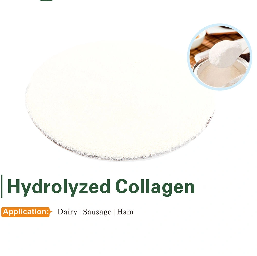 Collagen Protein Hydrolysate, Animal Bovine Collagen Protein Powder