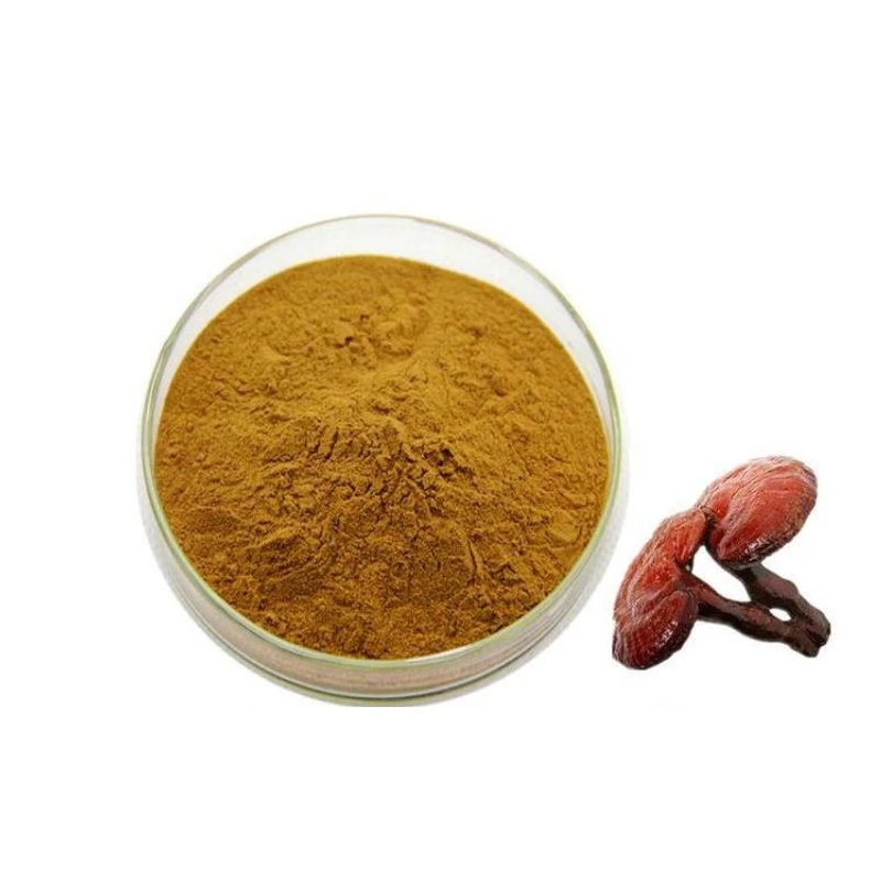 Reishi Mushroom Extract 30% Polysaccharide Mushroom Powder Ganoderma Lucidum Extract