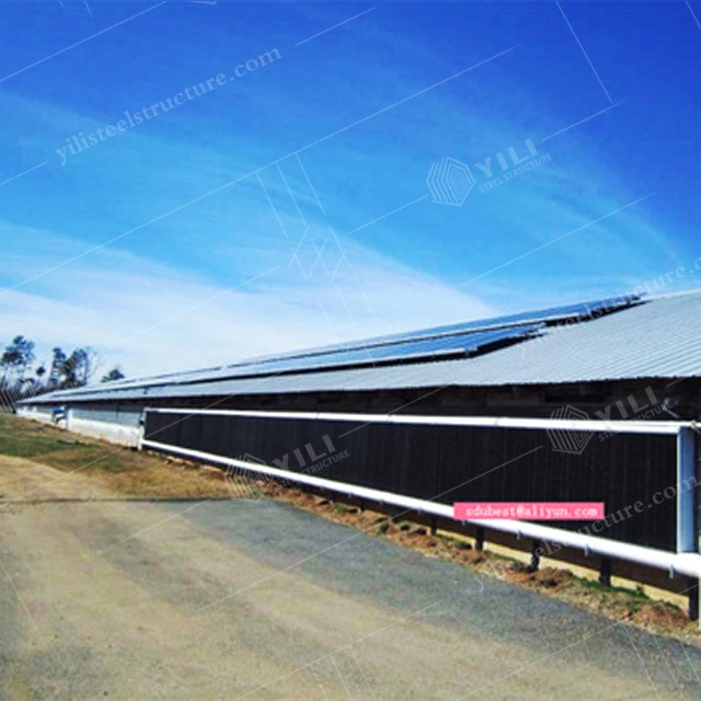 Multi Span Steel Structral Pig Farm House Poultry Hosue Chicken House