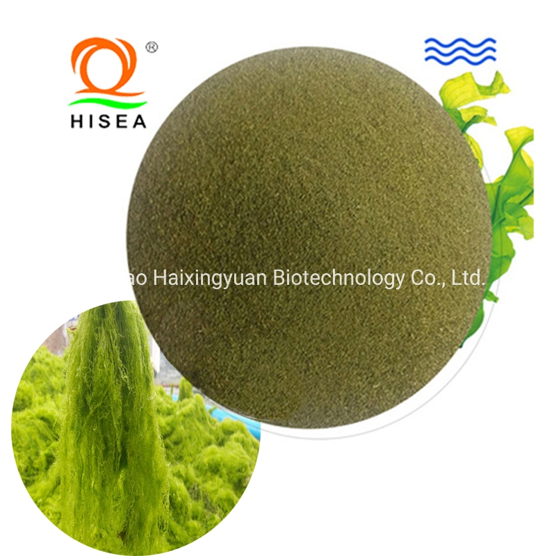 Factory Supply Food Additive Health Raw Material Natural High-Efficiency Feed Grade for Animals