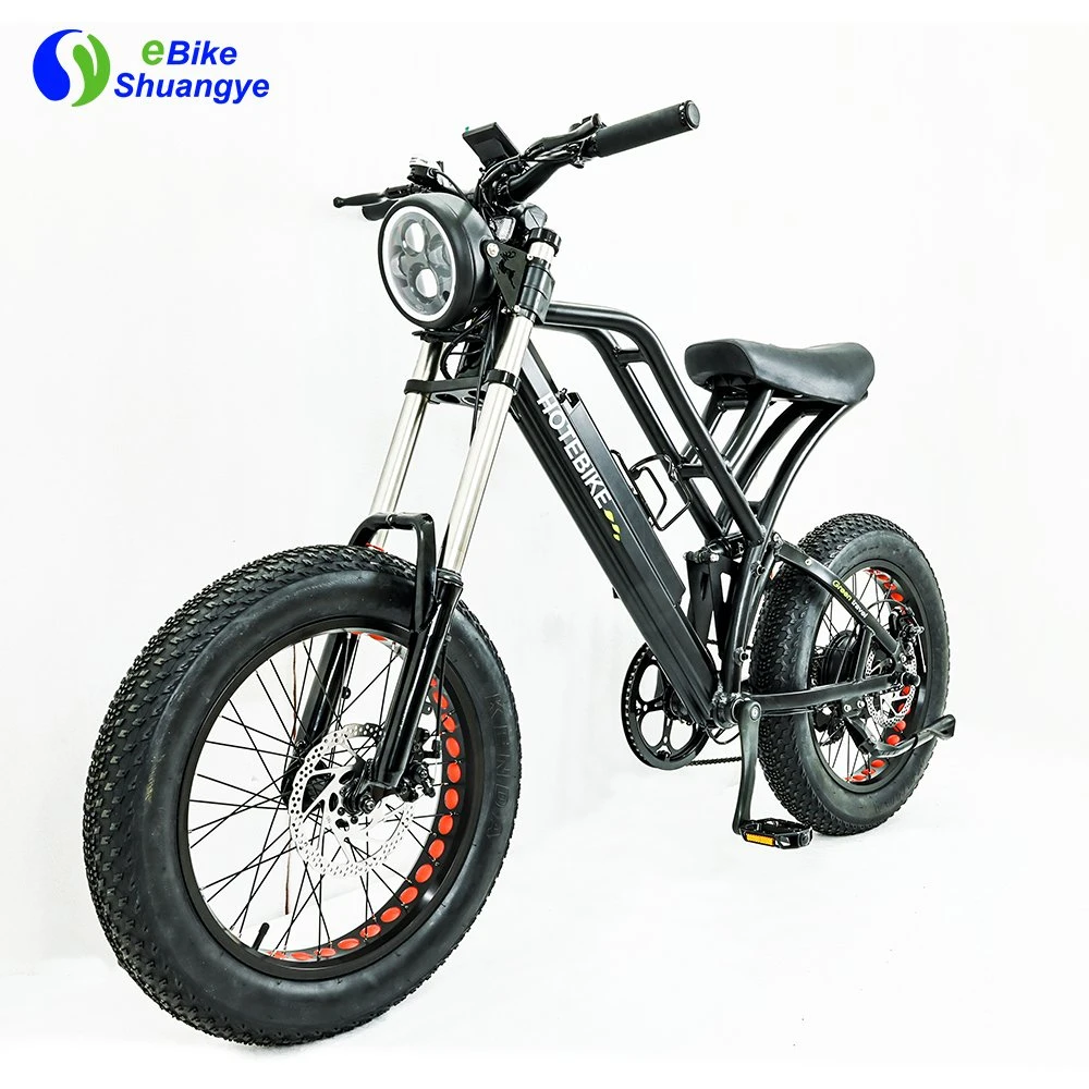 48V 10ah 13ah Power pas cher Full suspension Retro Vintage E Vélo Ebike Dirt Mountain Fat tire vélo électrique