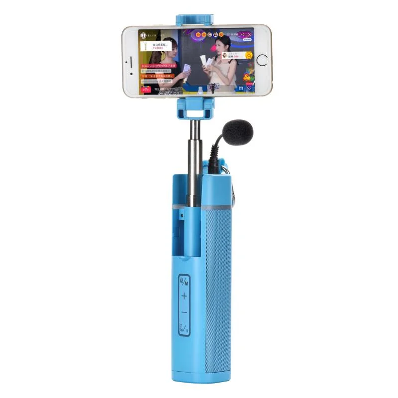Free Sample Multifunction Microphone Selfie Stick Power Bank Wireless Chargeable Bluetooth Professional Speaker