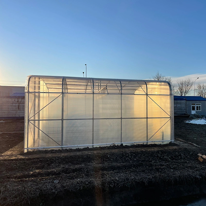 WMGH055 Energy saving multi-span greenhouse for flower