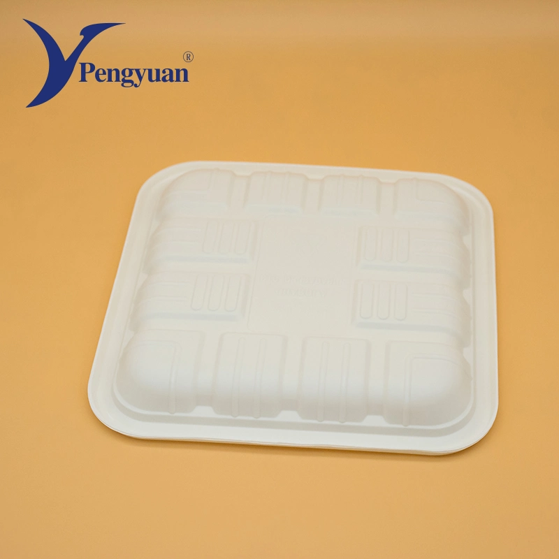 Corn Starch Tableware Biodegradable Party Food Tray