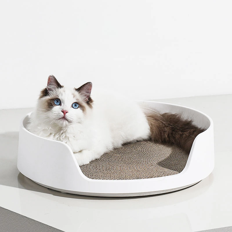 Vente à chaud produit PET couleur unie lit de nuit PP plastique Outil de test pour chats rond avec tableau de grattage pour chats remplaçable