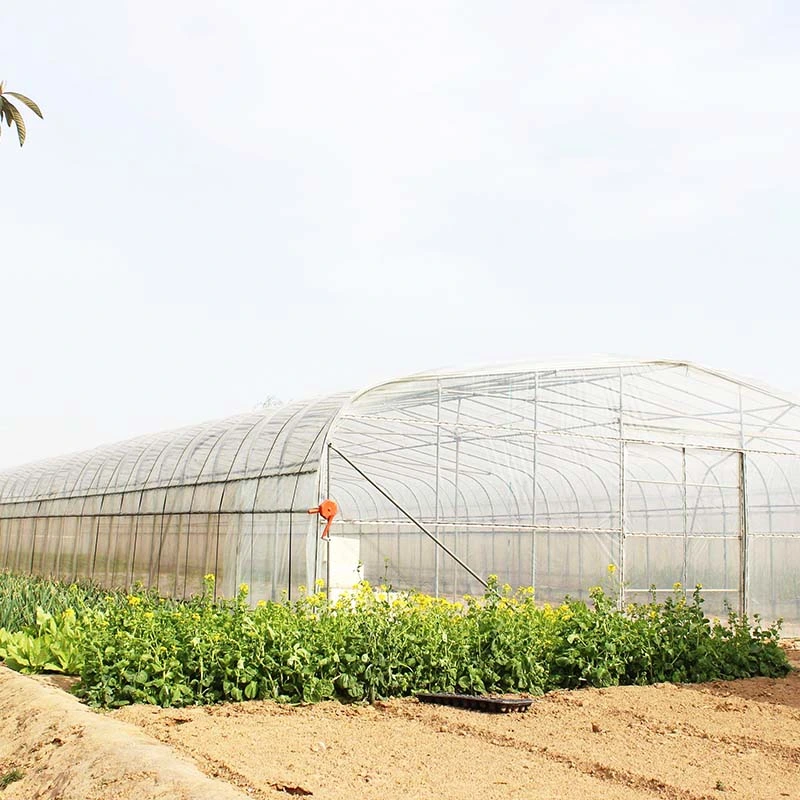 Single Span Po Film Tunnel Greenhouse