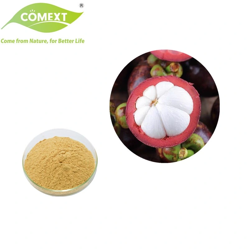 Extrato vegetal Natural Comext fornecimento a granel 40% Alfa Mangostina Organic Pó de extracto de mangosteen