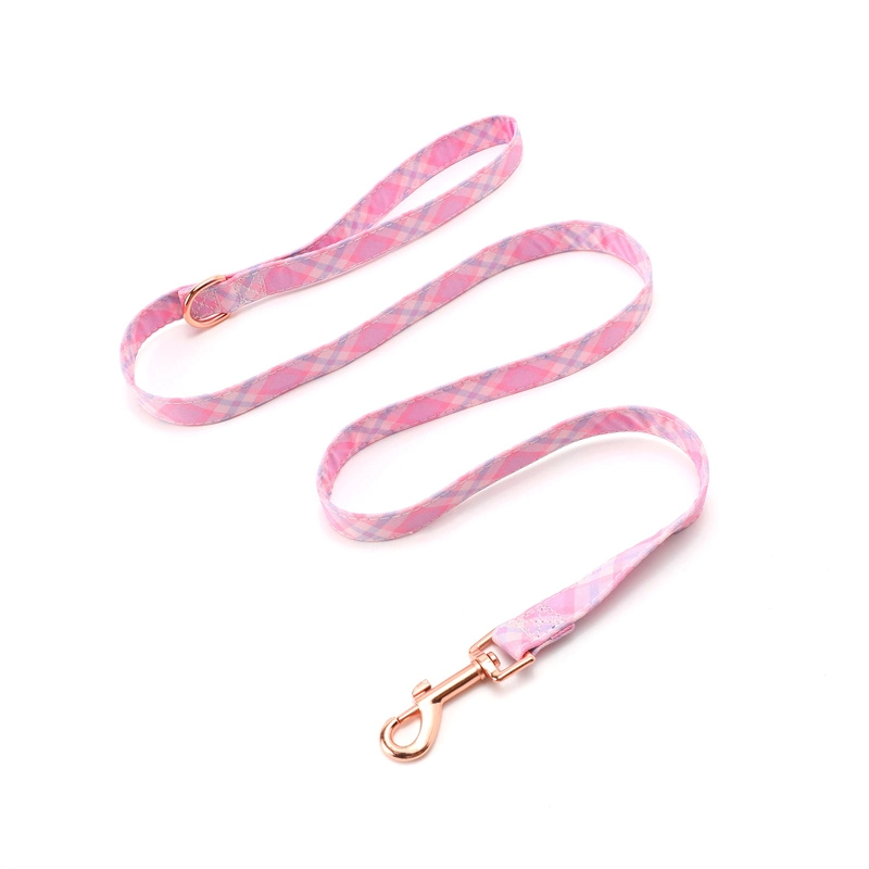 2022 New Products Pet Accessories Pet Leash Colorful Dog Lead