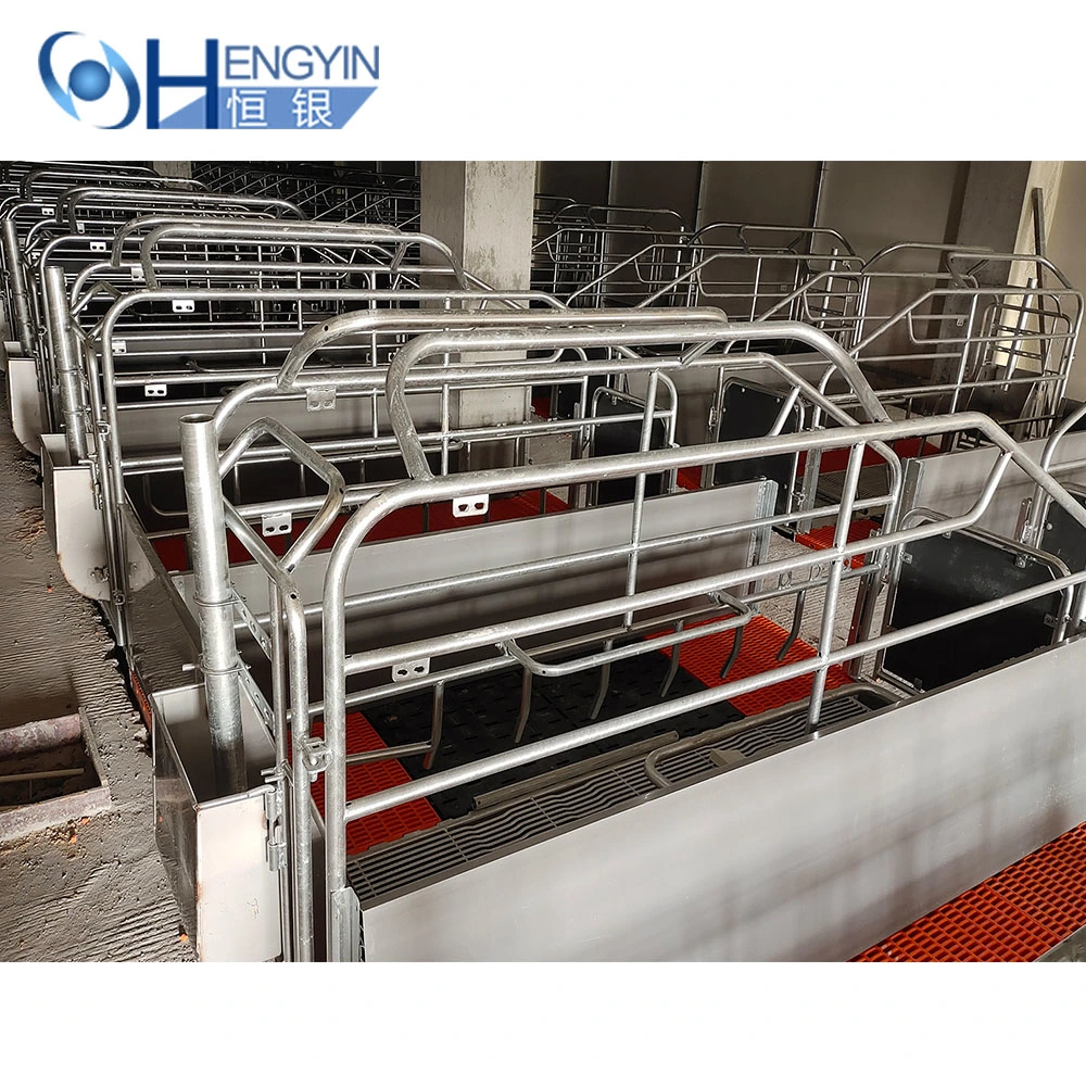 Factory Direct Sale Pig Farrowing Crate Pig Cage for Sale