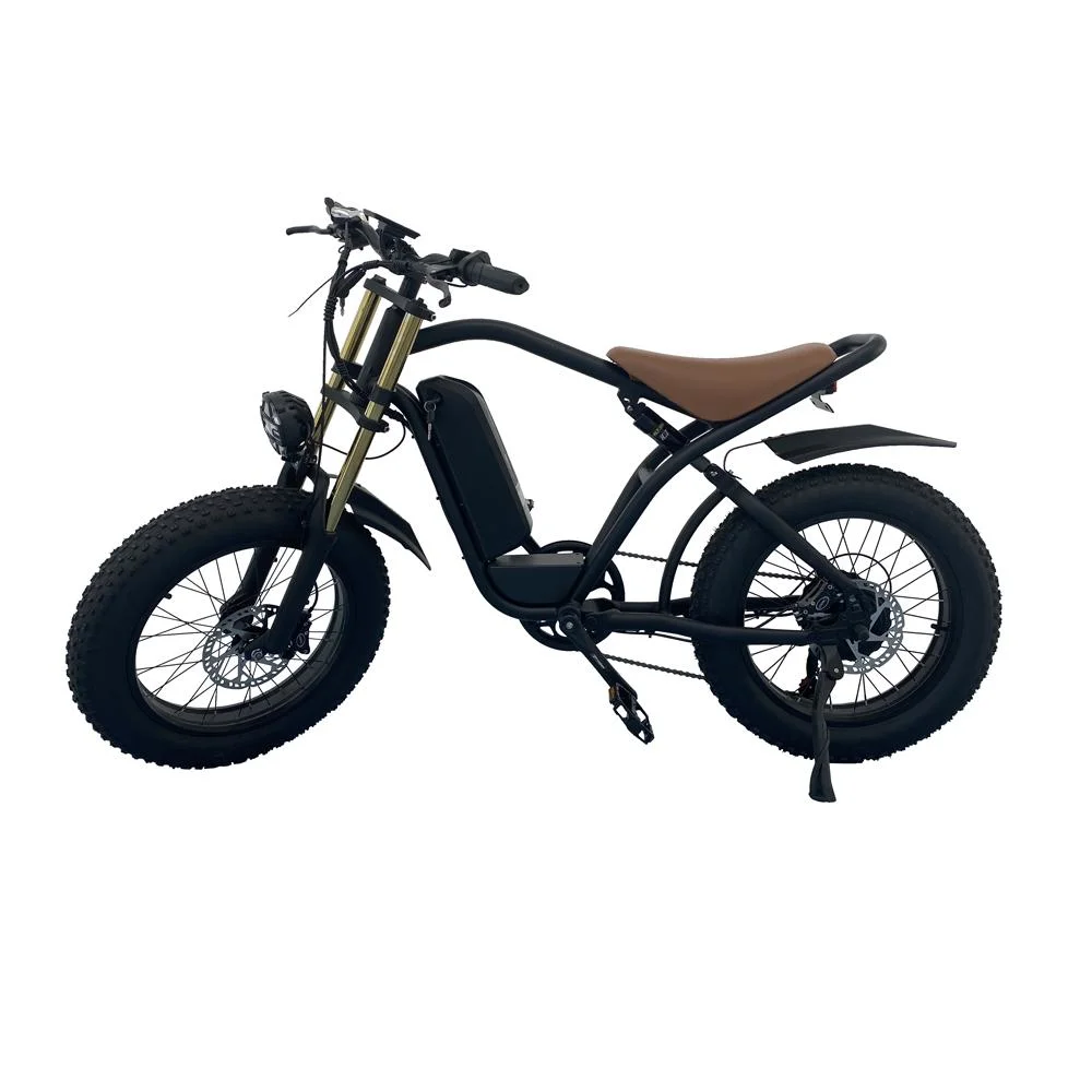 2024 Neue Ankunft Elektro-Fahrrad 3000W 5000W 8000W erschwinglich elektrisch Dirt Bike