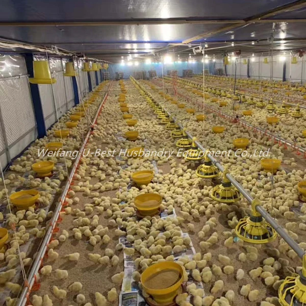 Good Price Automatic Poultry Farm Equipment/Broiler Chicken Farm for Sale