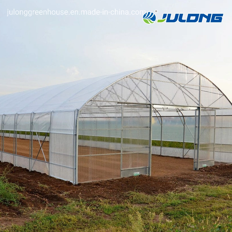 Hot Sell Plastic Film Greenhouse with Hydroponics System and Aluminum Sliding Door for Vegetable/Flower/Fruit Planting