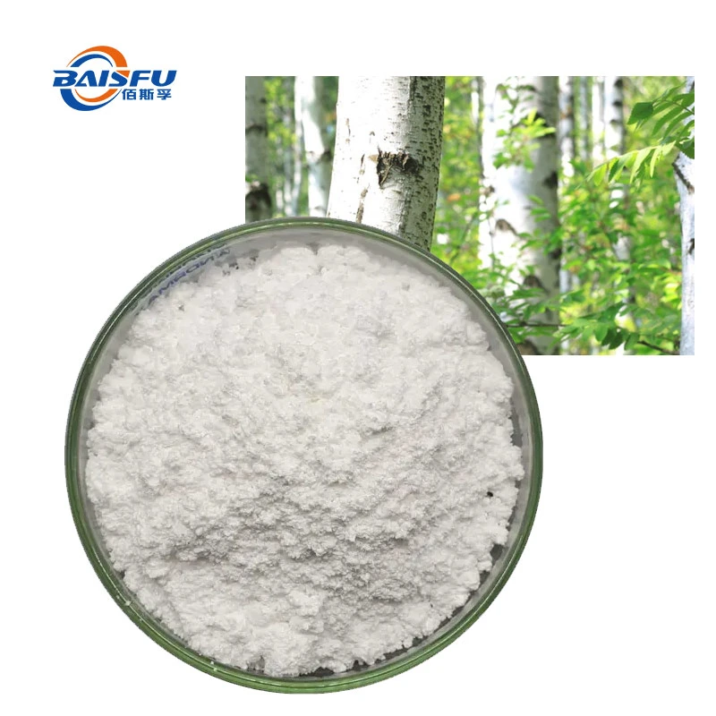 Cosmetic CAS 473-98-3 White Birch Bark Extract Betulinic Acid Powder 70% 80% Betulin