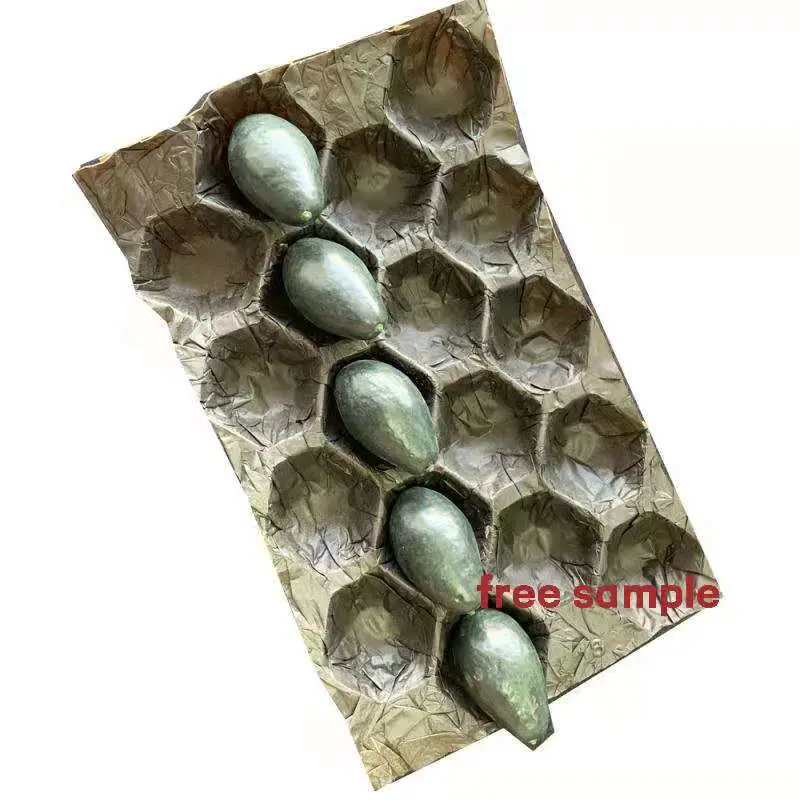 Eco- Friendly Disposable Kiwi Peach Paper Packaging Tray Liner