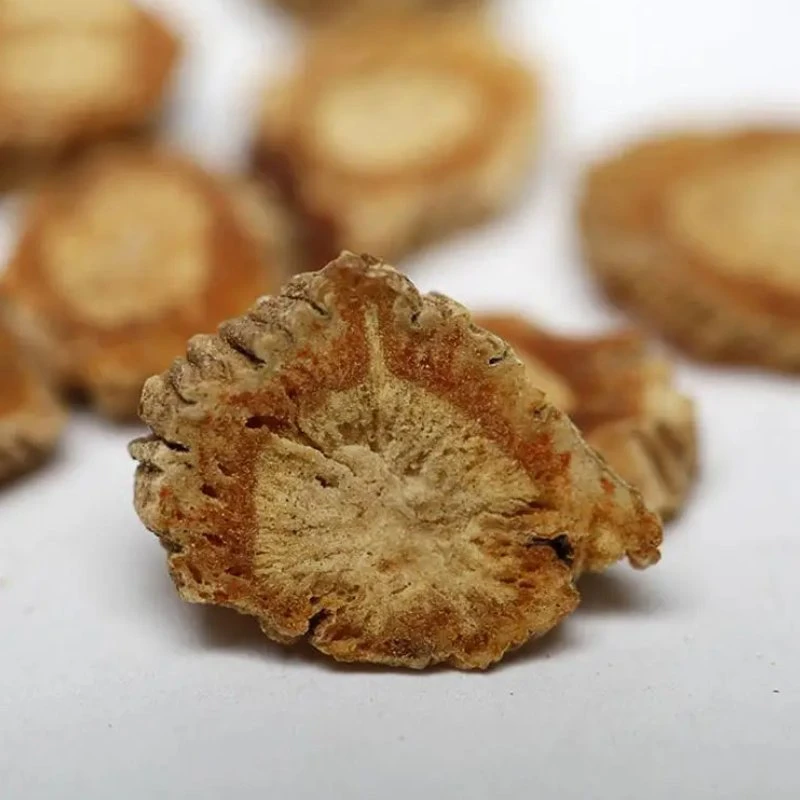 Médecine à base de plantes Fang Feng, Sève naturelle de Saposhnikovia Divaricata, Racine séchée de Radix Sileris.