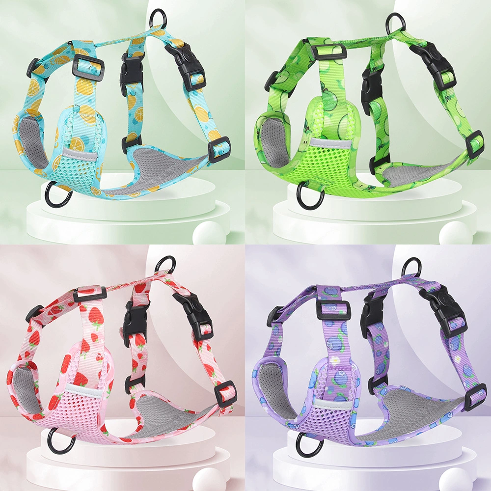 Pet Supplies 2023 Neue Ankunft Mesh Dog Harness Hals Verstellbar Lieferung Von Hundekabelbaum Ab Werk