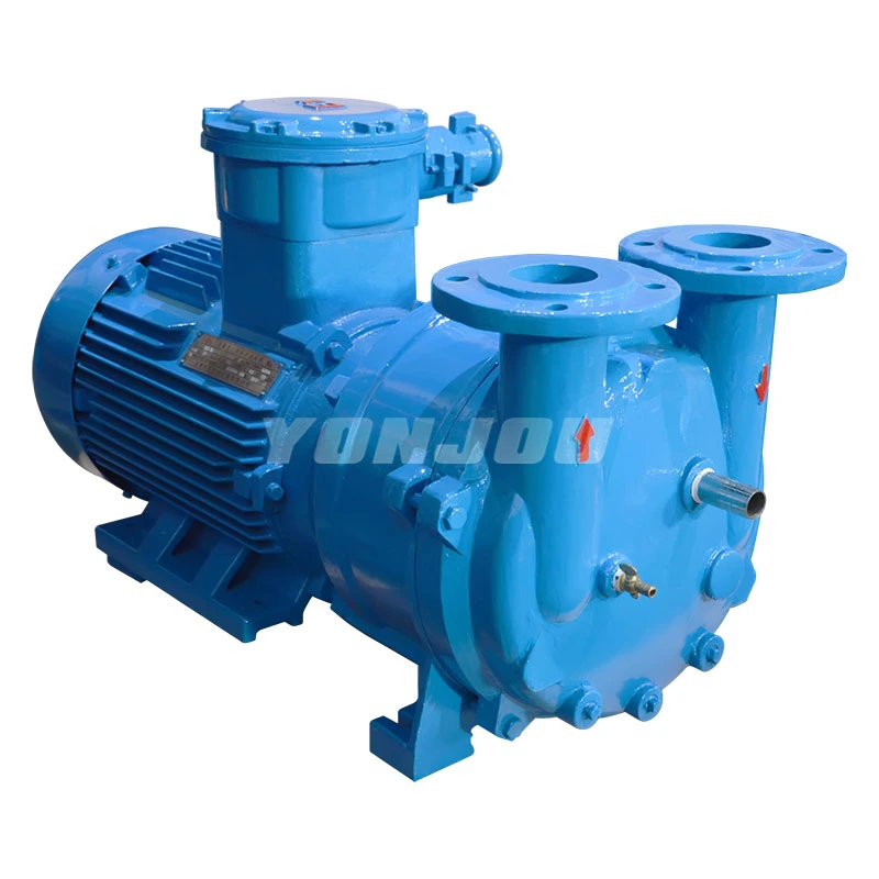 Sk 2sk 2BV China Electric Pumps Liquid Water Ring Vacuum Pump for Milking Machine or Plastic Extrusion Line with Siemens Motor