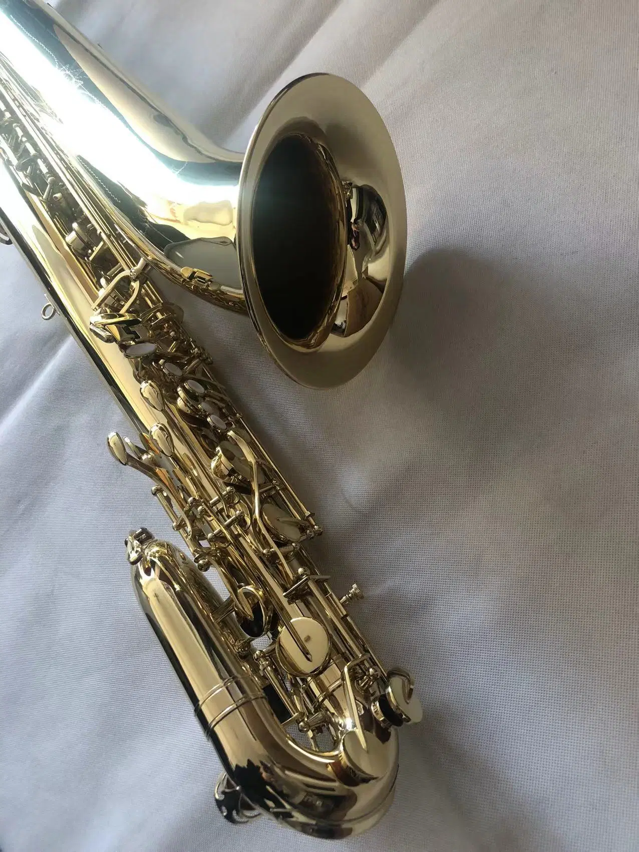 Saxophone /Baritone Saxophone /Alto Saxophone (SAB100-L)