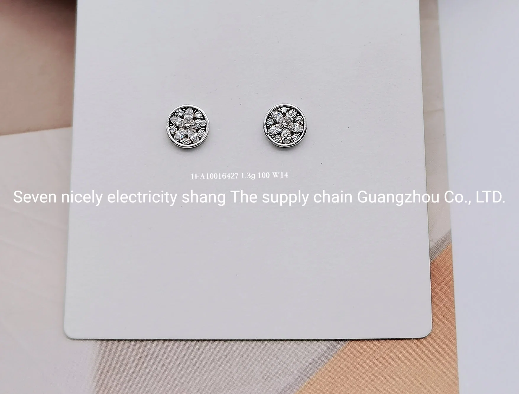 Fashion 925 Silver Jewelry High Quality Flower Earring with White CZ OEM ODM Accessories