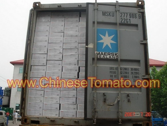 in Chinese Factory Double Concentrate Tomato Paste Sachet Tomato Paste