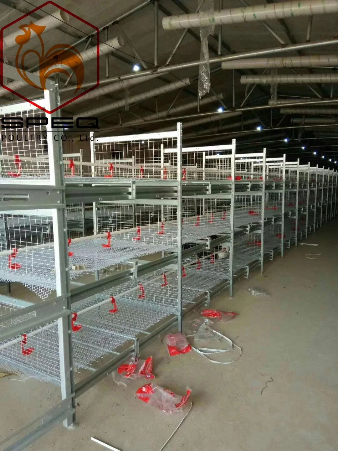 Livestock Machinery Automatic Poultry Farming Equipment H Type Cage for Broiler