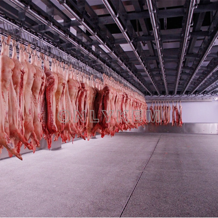 Matadero utiliza frío congelador de almacenamiento para el procesamiento de carne